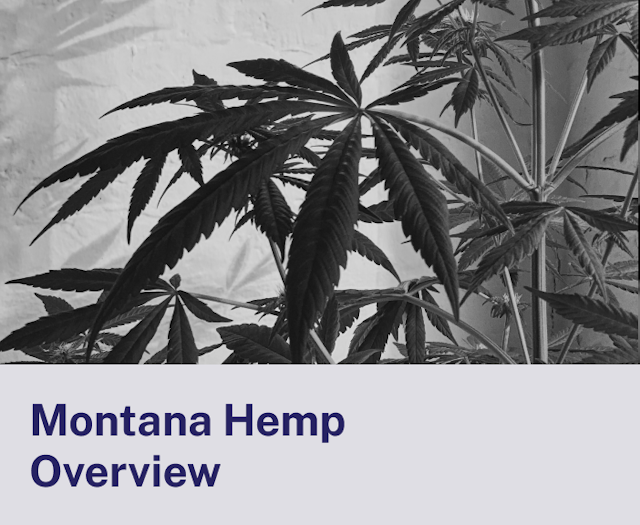 Montana Hemp Overview.png