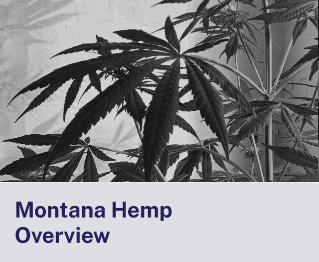 Montana Hemp Overview.png