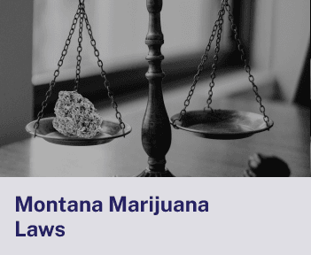 Montana Laws.png