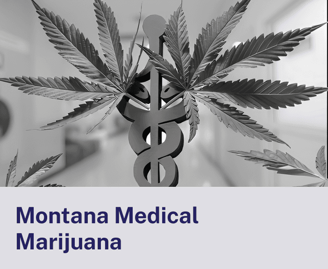 Montana Medical.png